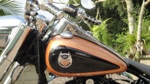 harley davidson 105 years