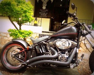 harley davidson easy raiders