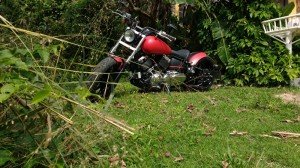 IMG_20150814_122902971